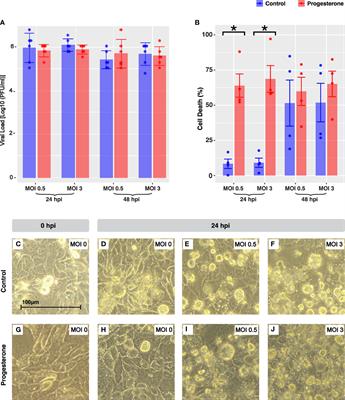 Impact of progesterone on innate immunity and cell death after influenza A virus H1N1 2009 infection of lung and placental cells in vitro
